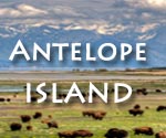 Antelope Island endurance ride